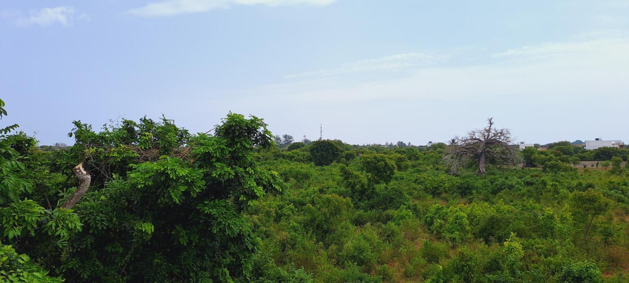 Cave Diani Holiday Apartments Диани-Бич Экстерьер фото